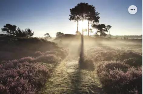 Park Konijnenburg Villa Putten Dış mekan fotoğraf