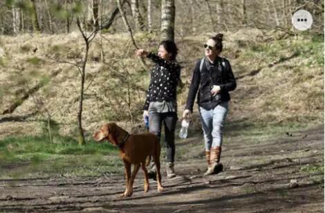 Park Konijnenburg Villa Putten Dış mekan fotoğraf
